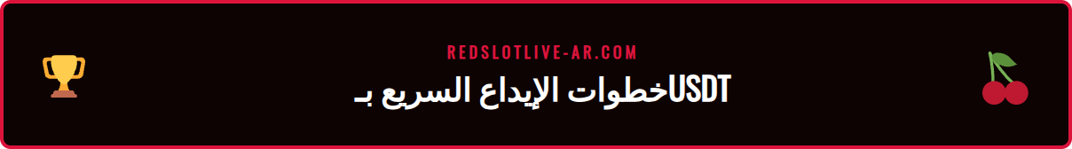 لقطة شاشة لصفحة الإيداع في كازينو Redslot باستخدام USDT.
