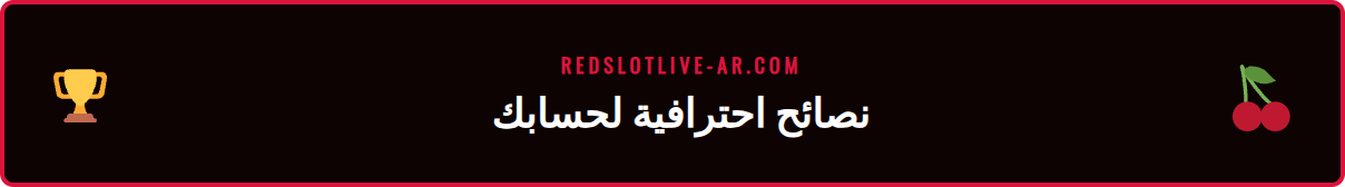 صورة مقربة لقسم الأمان بعد إتمام ريدسلوت login بنجاح.